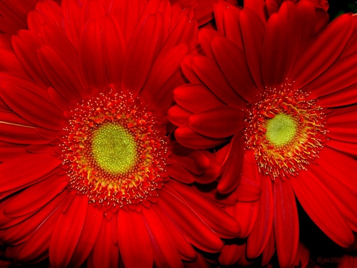  (700x525, 132Kb)