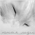  (140x140, 32Kb)