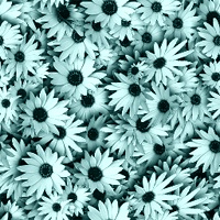  (200x200, 29Kb)