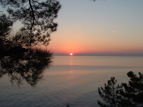  (500x375, 39Kb)