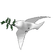  (180x180, 32Kb)