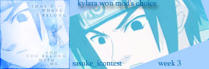  (300x100, 13Kb)