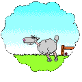  (120x120, 13Kb)