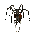  (125x150, 17Kb)