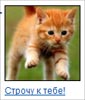  (85x100, 2Kb)