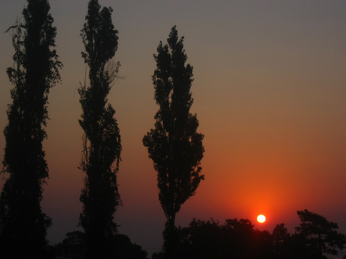  (700x525, 105Kb)