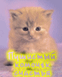  (90x113, 8Kb)
