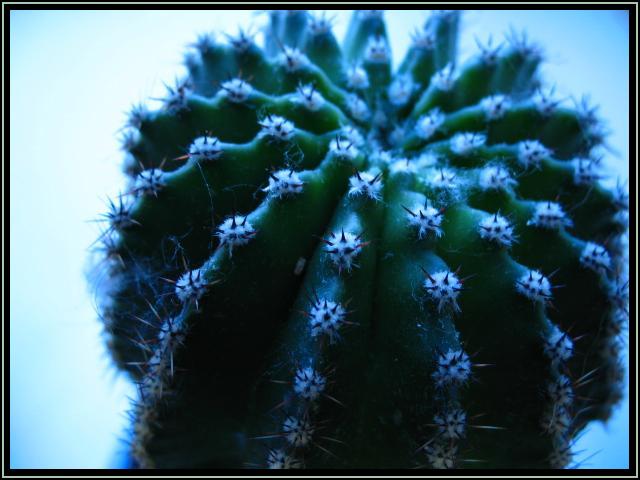  (640x480, 52Kb)