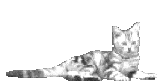  (164x81, 83Kb)