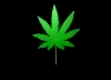  (100x72, 19Kb)