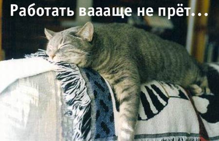  (450x290, 26Kb)