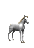  (70x100, 14Kb)