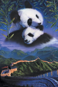  (229x343, 26Kb)