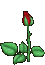 (45x65, 6Kb)