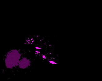  (330x262, 269Kb)