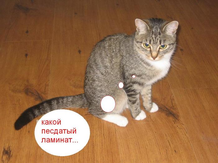  (700x525, 55Kb)