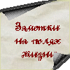  (100x100, 5Kb)