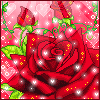  (100x100, 32Kb)