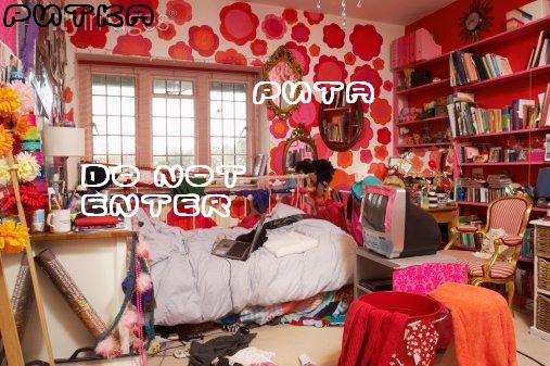 My Room Essay