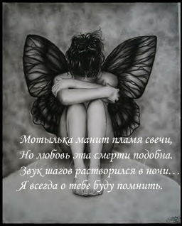  (256x318, 67Kb)