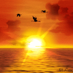  (300x300, 47Kb)