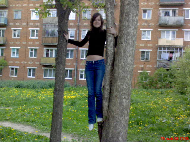  (640x480, 73Kb)