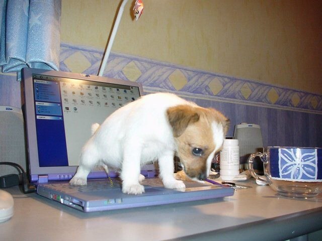  (640x480, 57Kb)
