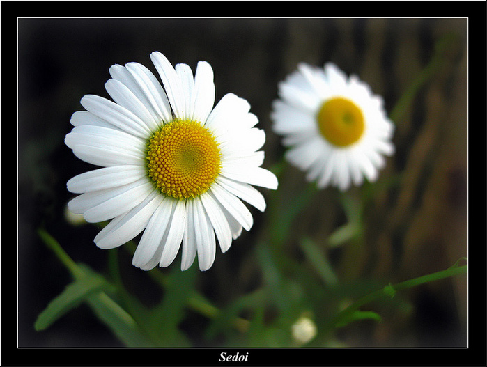  (699x527, 137Kb)