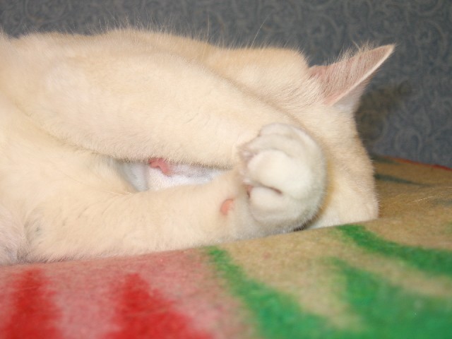  (640x480, 48Kb)