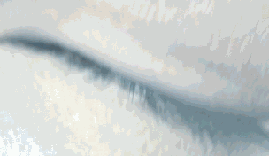  (304x176, 814Kb)
