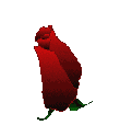 16.GIF (110x114, 14Kb)