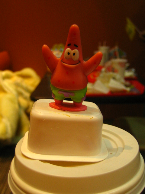 IMG_1225.jpg (480x640, 134Kb)