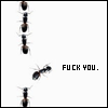 1.gif (100x100, 3Kb)