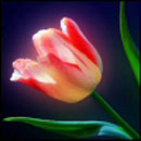750190_593517.jpg (130x130, 19Kb)