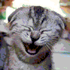  .gif (101x101, 4Kb)
