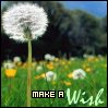 make a wisk.jpg (99x99, 4Kb)