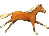 horse15.gif (160x120, 25Kb)