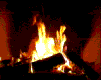 scr004.gif (101x80, 14Kb)