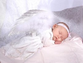 4865386_angelok.jpg (270x204, 13Kb)