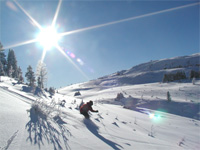 Copy of ski press - sunshine.jpg (200x150, 13Kb)