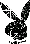 17.gif (30x44, 1Kb)
