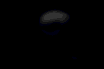 2010101.gif (150x100, 15Kb)