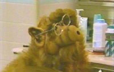 alf359.jpg (400x254, 16Kb)