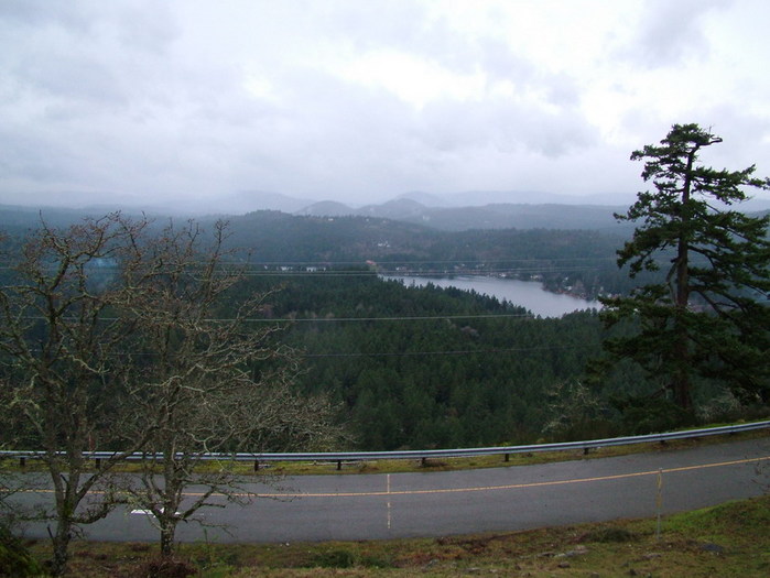 DSCF2156_resize.JPG (699x525, 94Kb)