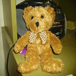 teddy.gif (150x150, 34Kb)