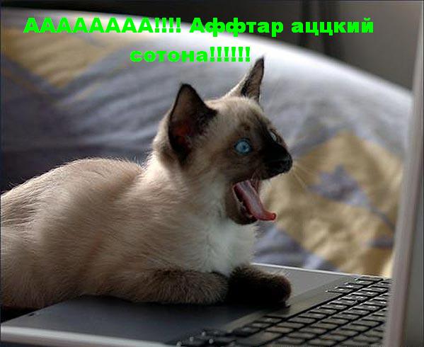 3479329.jpg (599x490, 39Kb)
