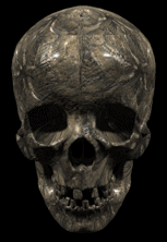 3.gif (153x222, 32Kb)