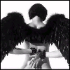 angelwithblackwings.gif (100x100, 9Kb)