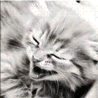 4911427_Untitled47.gif (140x140, 52Kb)