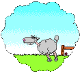 SHEEP.GIF (120x120, 16Kb)